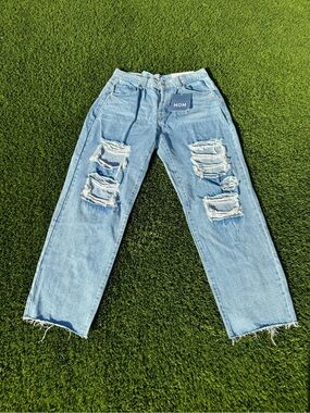 Casual Light Blue Distressed Mom Jeans